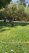 jenny.kaly Altpins Profile Picture