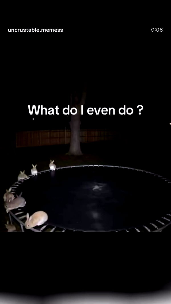 shay_atia123 archive video preview
