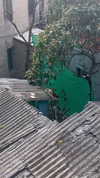 lejinfan Altpins Profile Picture