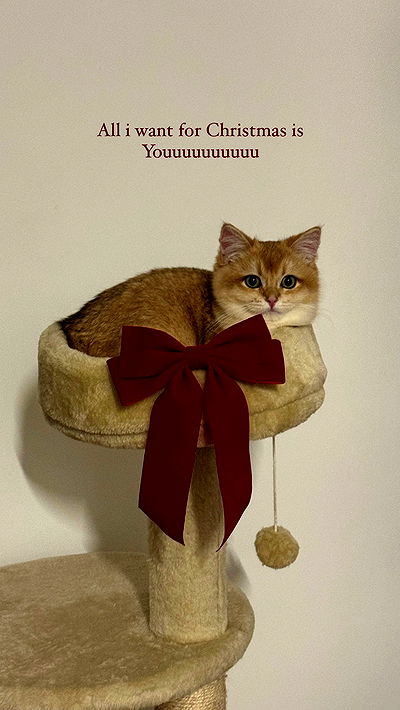 itsilanosh itsilanosh archive video