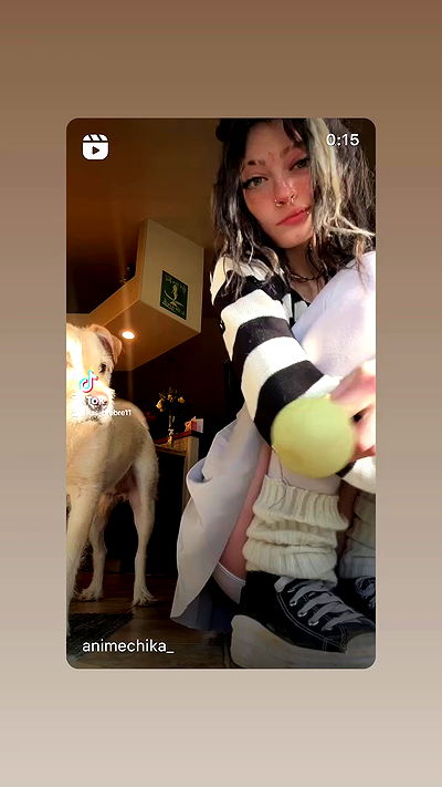 _animechika_ _animechika_ archive video