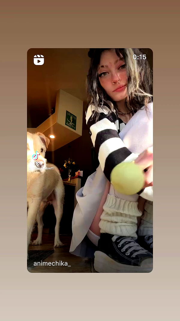 _animechika_ archive video preview