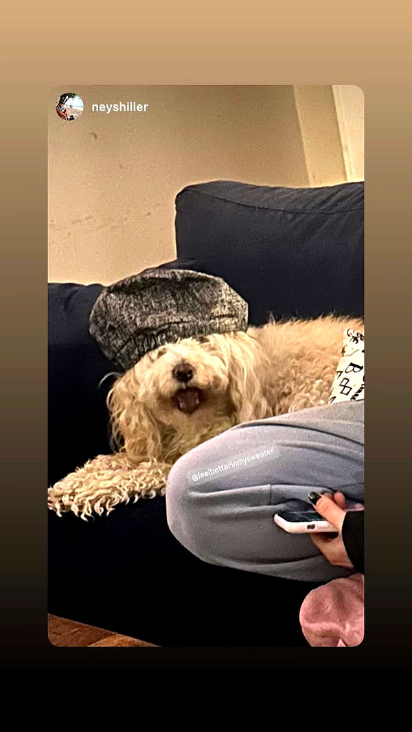 feelbetterinmysweater archive video preview