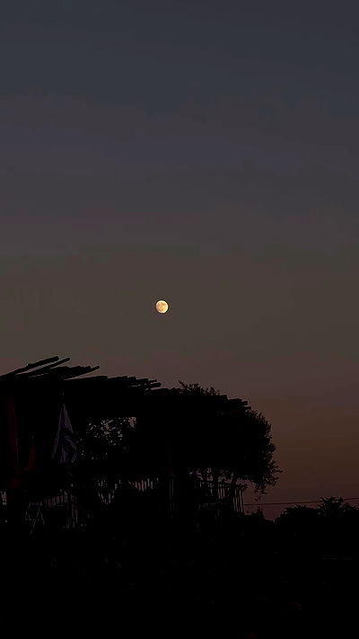 talweisswasser talweisswasser archive video