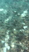 lior_lotati Altpins Profile Picture