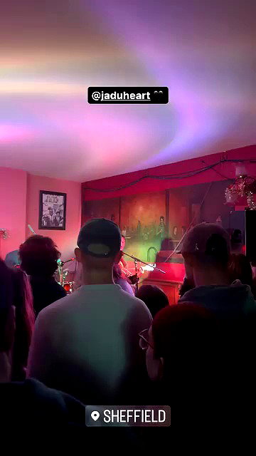 zaperwave archive video preview