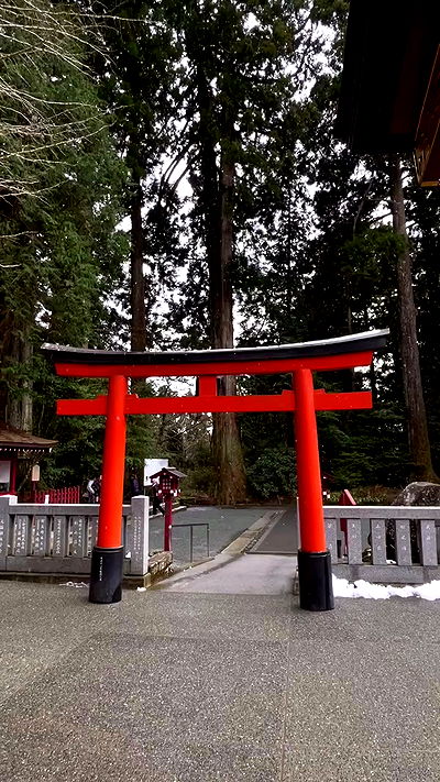 neomiconrad neomiconrad archive video