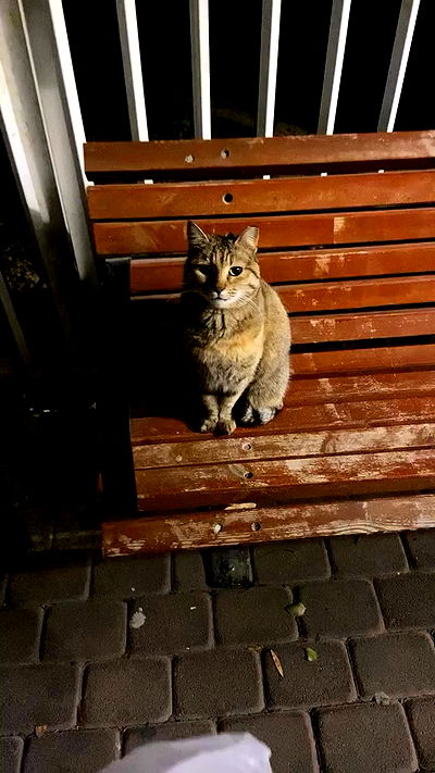 feelbetterinmysweater feelbetterinmysweater archive video