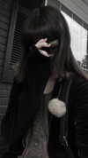 veildose Altpins Profile Picture