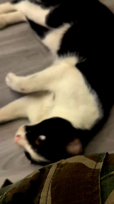 oqr0_ oqr0_ archive video