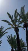 giulia.monico Altpins Profile Picture