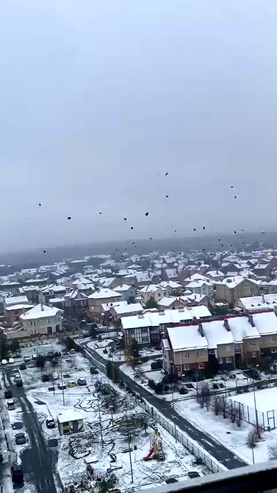 howeversnowy howeversnowy archive video