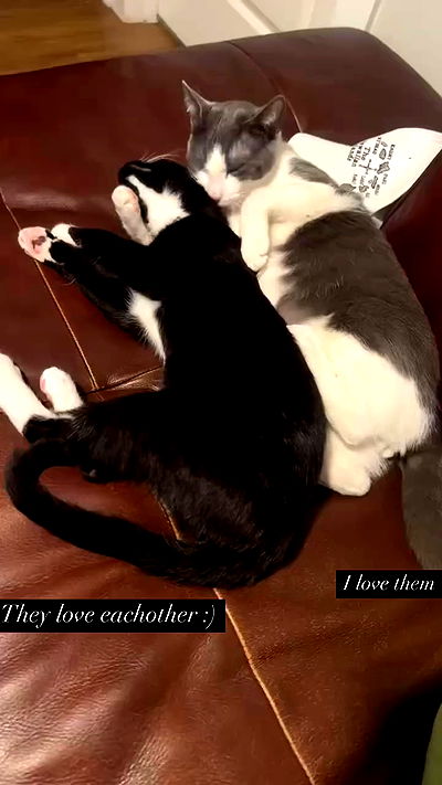 tatum.ricee tatum.ricee archive video