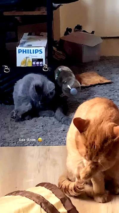 yoo.mon yoo.mon archive video