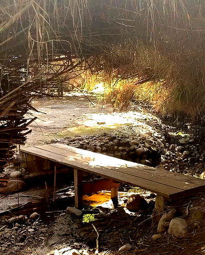 sophiemudd sophiemudd archive video