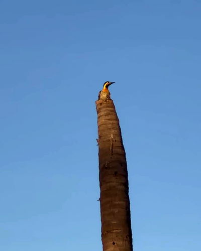 gabnoyr gabnoyr archive video