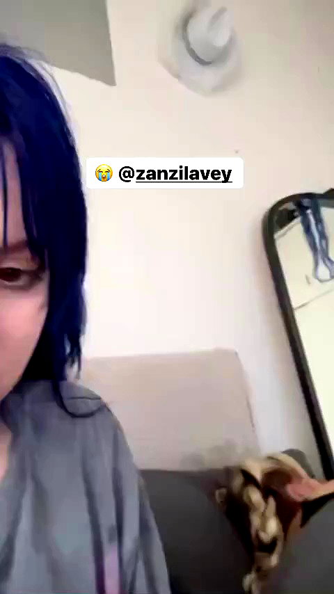zaperwave archive video preview