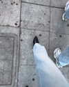 monetzamora_ Altpins Profile Picture