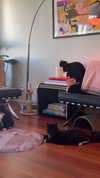 sydney_melman Altpins Profile Picture