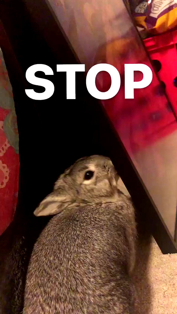 emiru.jpg archive video preview