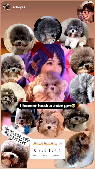 iamdorasnow iamdorasnow archive video