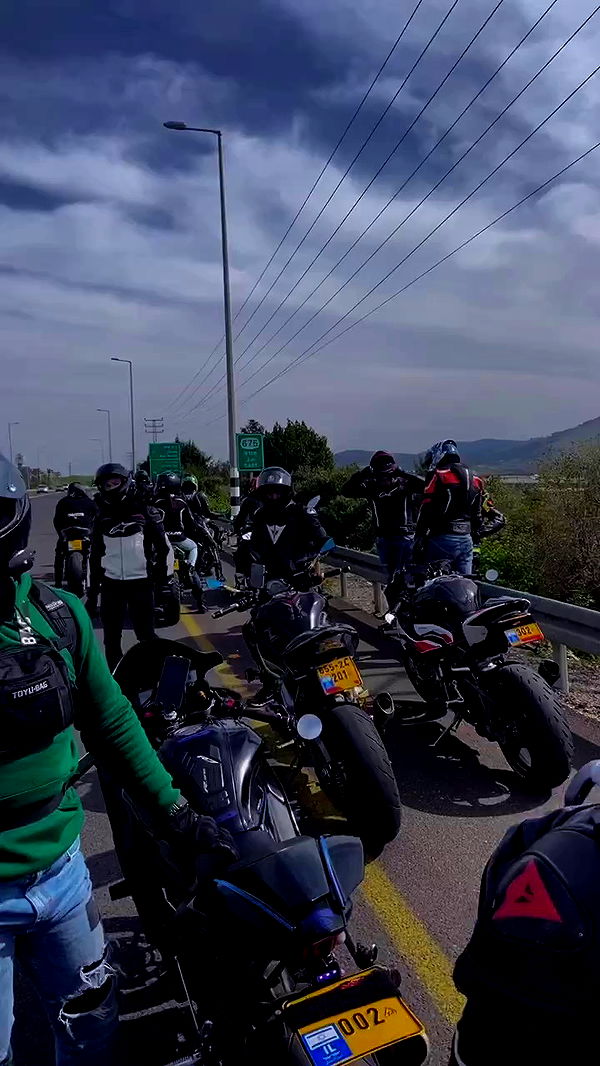 biton__adi archive video preview