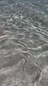 eloise_wensley Altpins Profile Picture