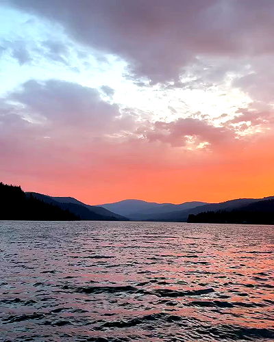 sydney_sweeney sydney_sweeney archive video