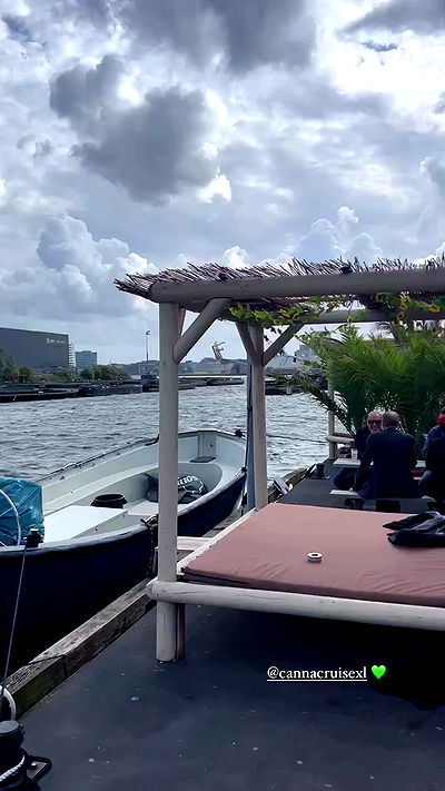 bakedsloths bakedsloths archive video