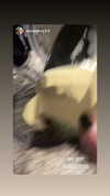 magg0tfleshh Altpins Profile Picture