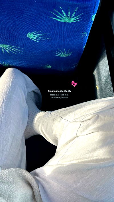 tuliprivet tuliprivet archive video