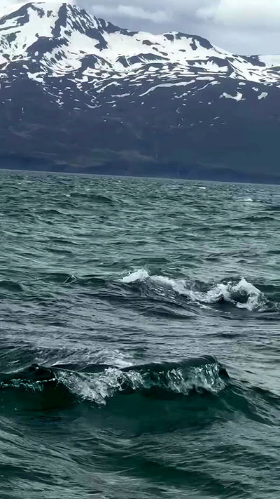 itsilanosh itsilanosh archive video