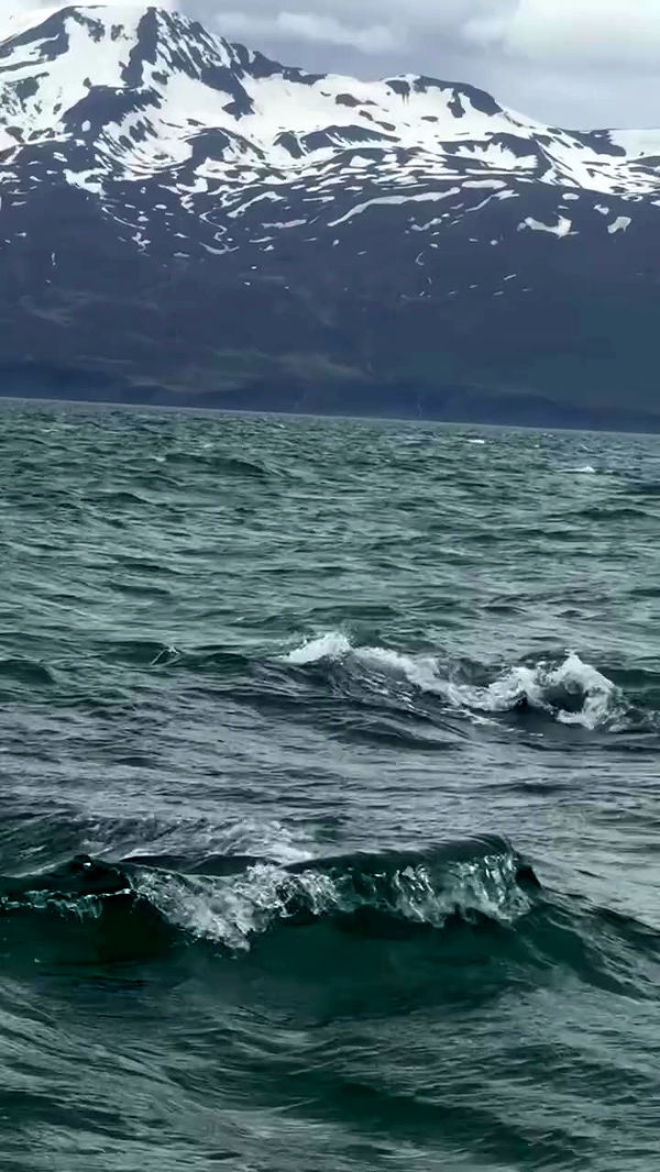 itsilanosh archive video preview