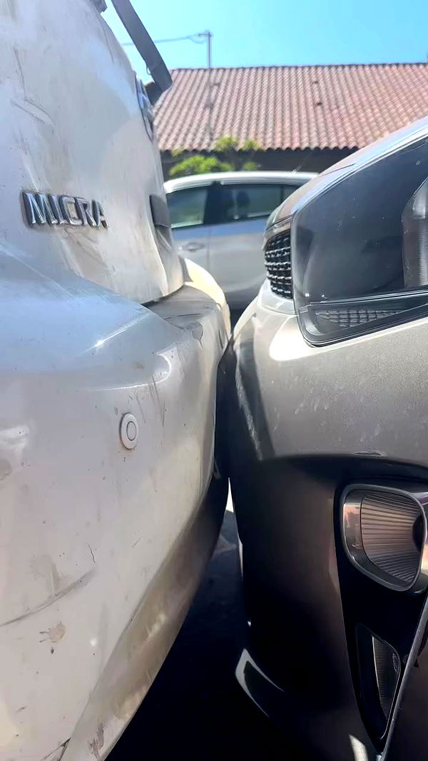 romy_ayalla_lavi archive video preview