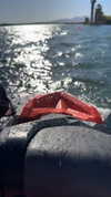 saman.tthaa Altpins Profile Picture