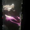 belok_bero Altpins Profile Picture