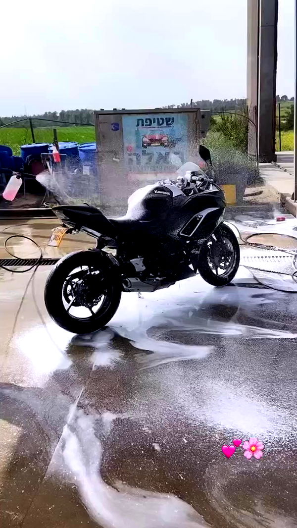 biton__adi archive video preview