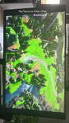 maycohen8 Altpins Profile Picture