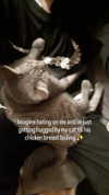 etuna_tuna Altpins Profile Picture