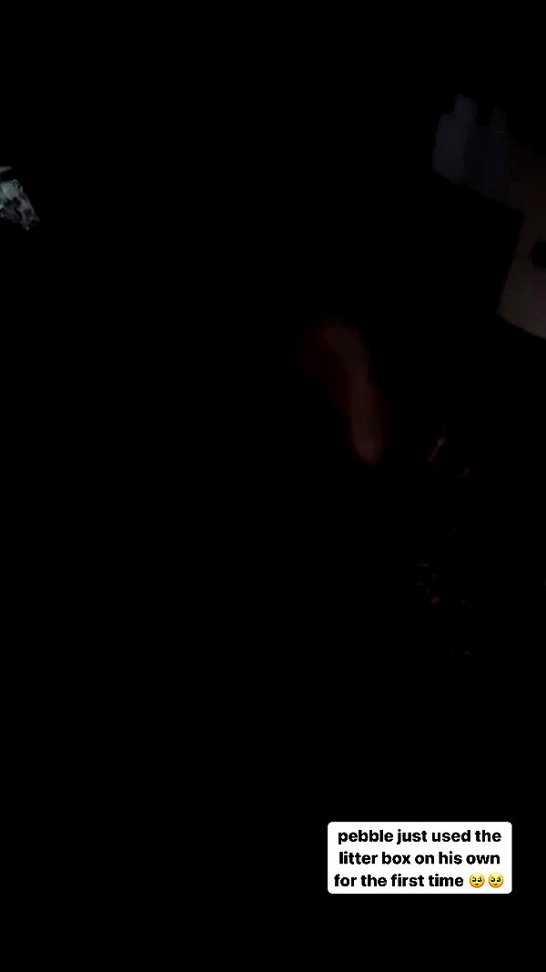 magg0tfleshh archive video preview