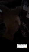 magg0tfleshh Altpins Profile Picture