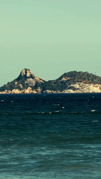 tiliaoficial tiliaoficial archive video