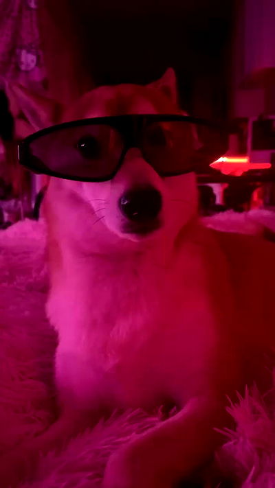 zommmbri zommmbri archive video