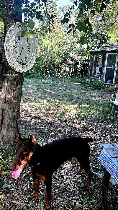 xzot1_met4xx xzot1_met4xx archive video