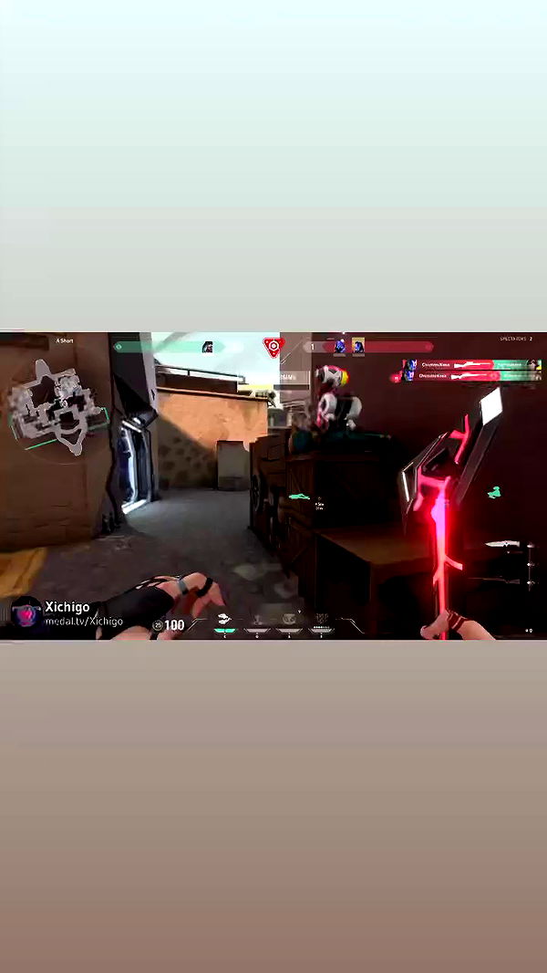 biton__adi archive video preview