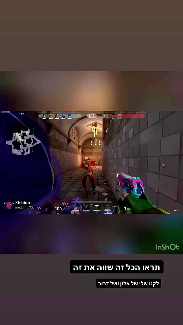 biton__adi archive video preview