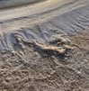 ilana.21 Altpins Profile Picture