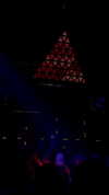 koral_toledo Altpins Profile Picture
