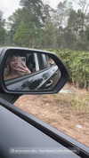 jenny.kaly Altpins Profile Picture