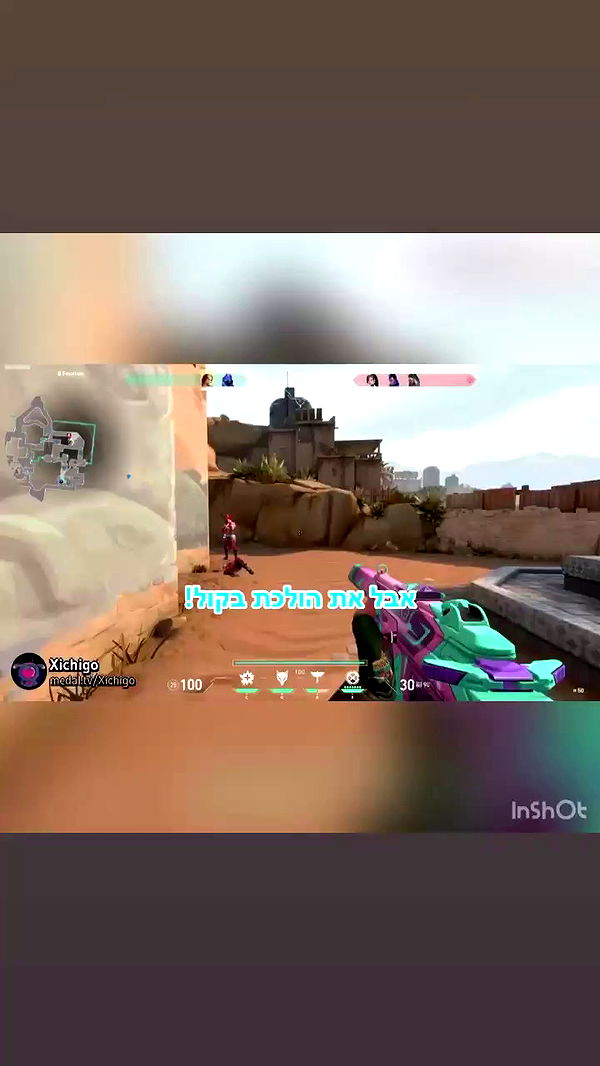 biton__adi archive video preview